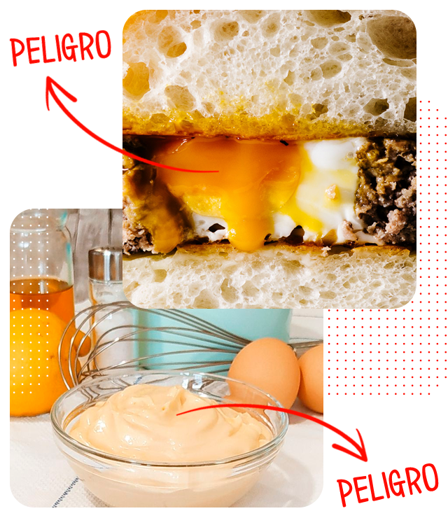 Prevención Salmonelosis
